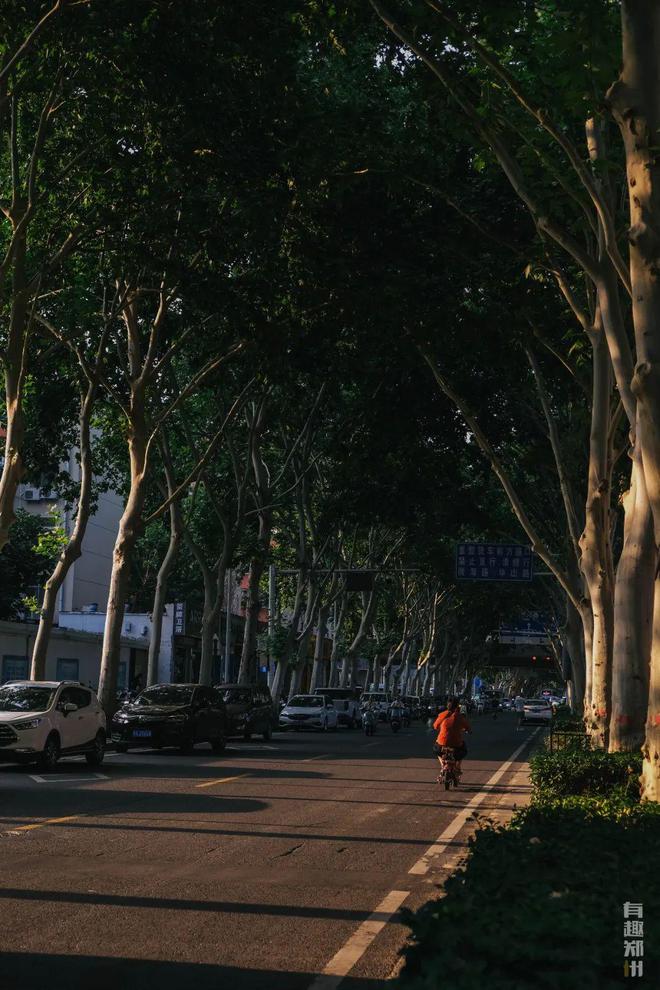 經(jīng)六路一條遛彎兒也能「出片」的寶藏街(圖7)