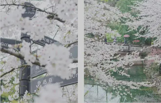 2025中建·虹悅里售樓處最新動態(tài)中建·虹悅里一房一價(jià)表(圖6)